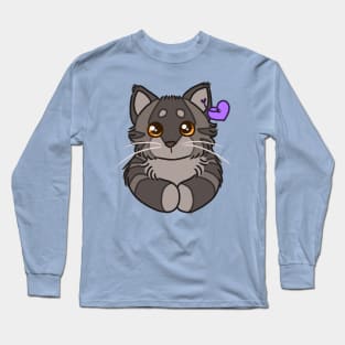 ty beanie graystripe Long Sleeve T-Shirt